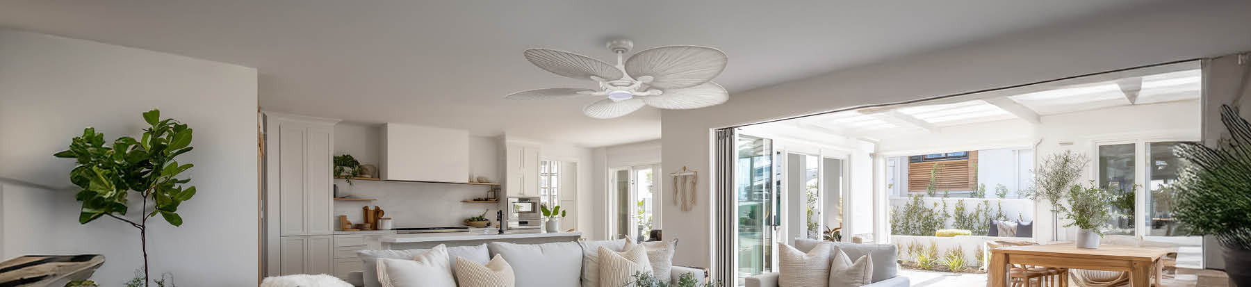 Ceiling Fans & Wall Mounted Fans