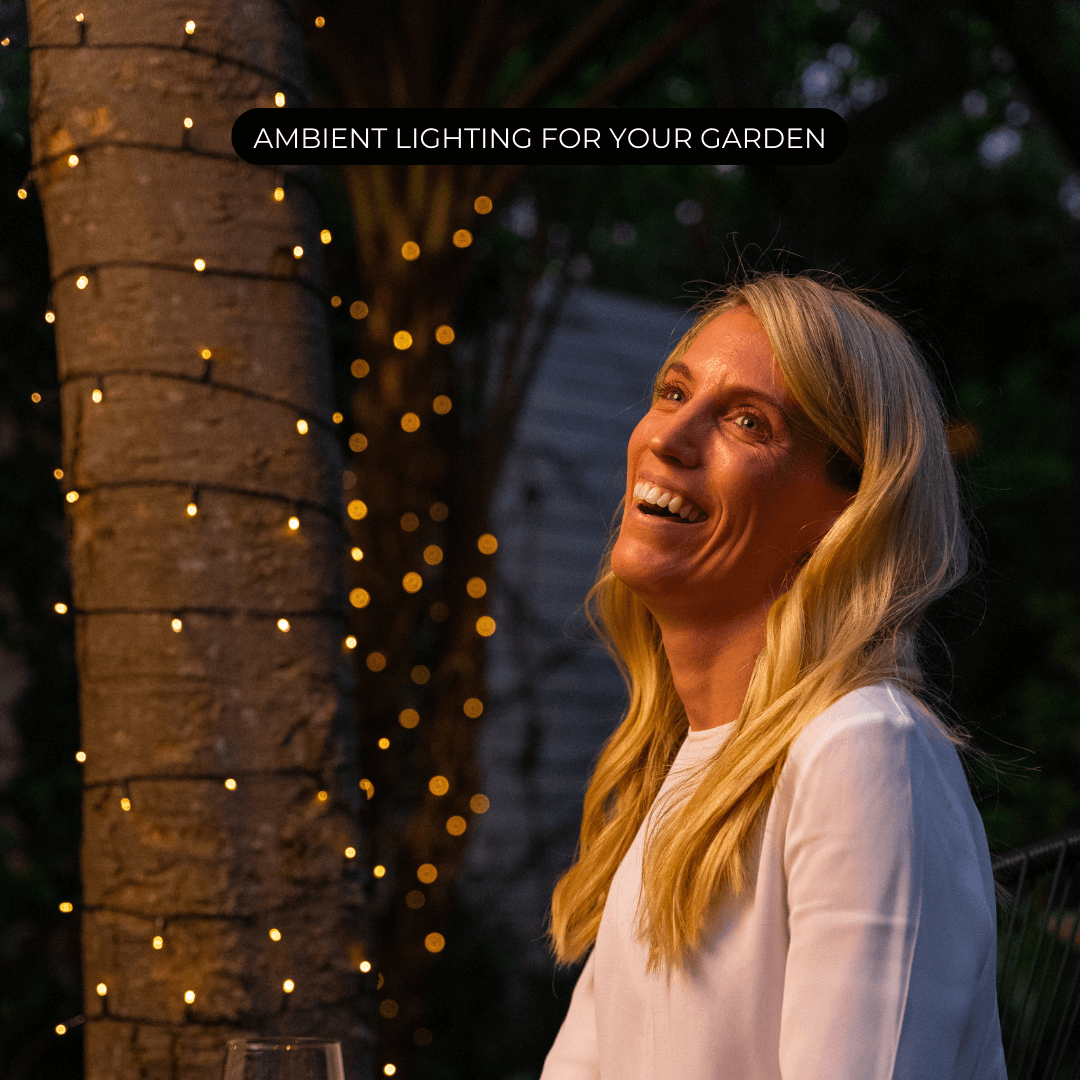 Litehouse 10M Black Solar LED Fairy Lights