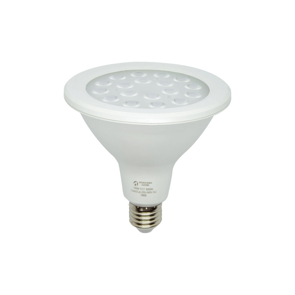 PAR38 White Globe LED