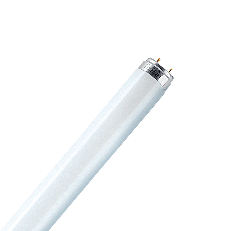 T8 18W 2FT Cool White Fluorescent Tube