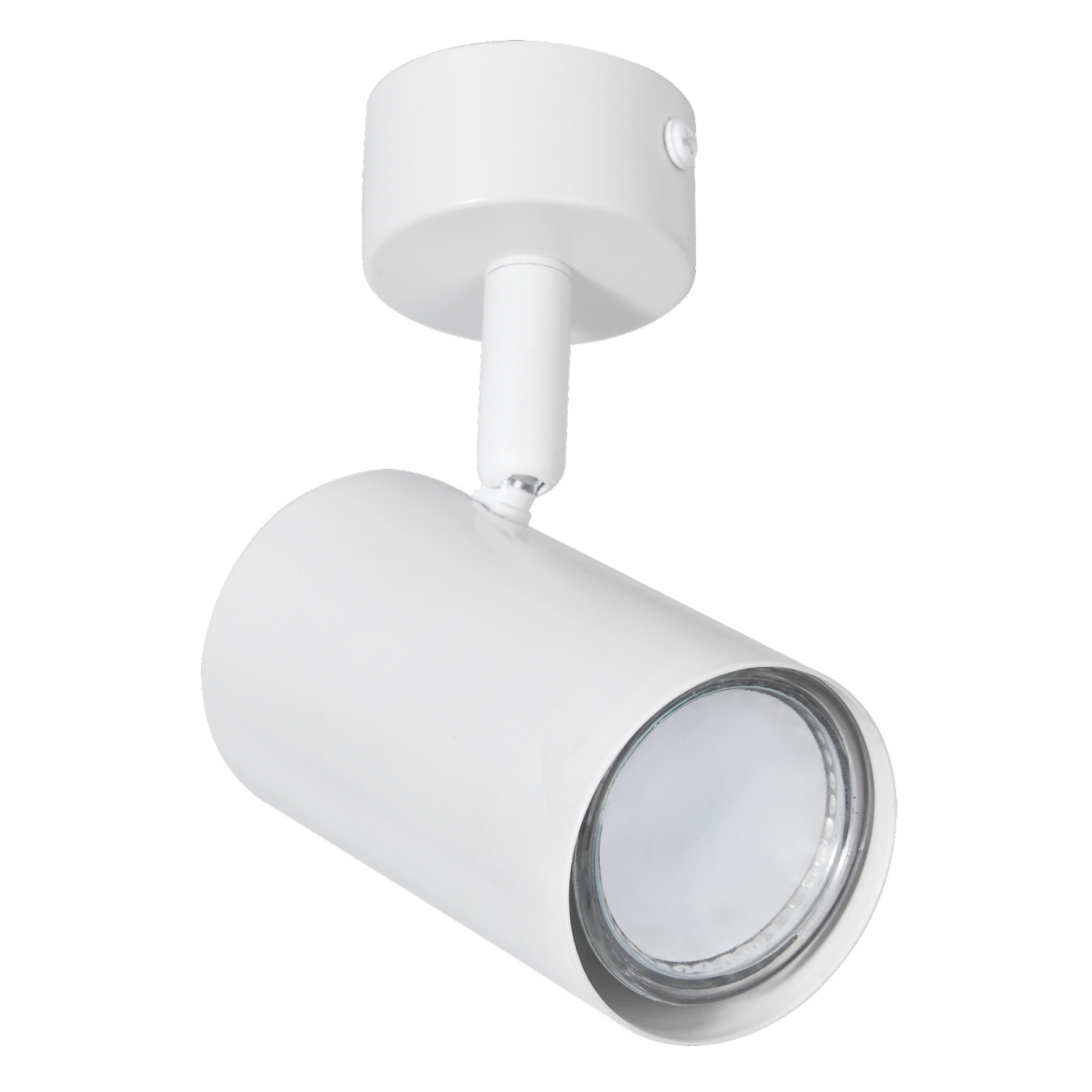 Artic single light white spot light fixture with 55mm base for accent lighting.