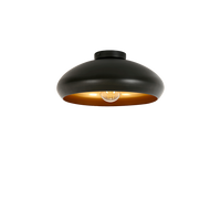Back Ceiling Light