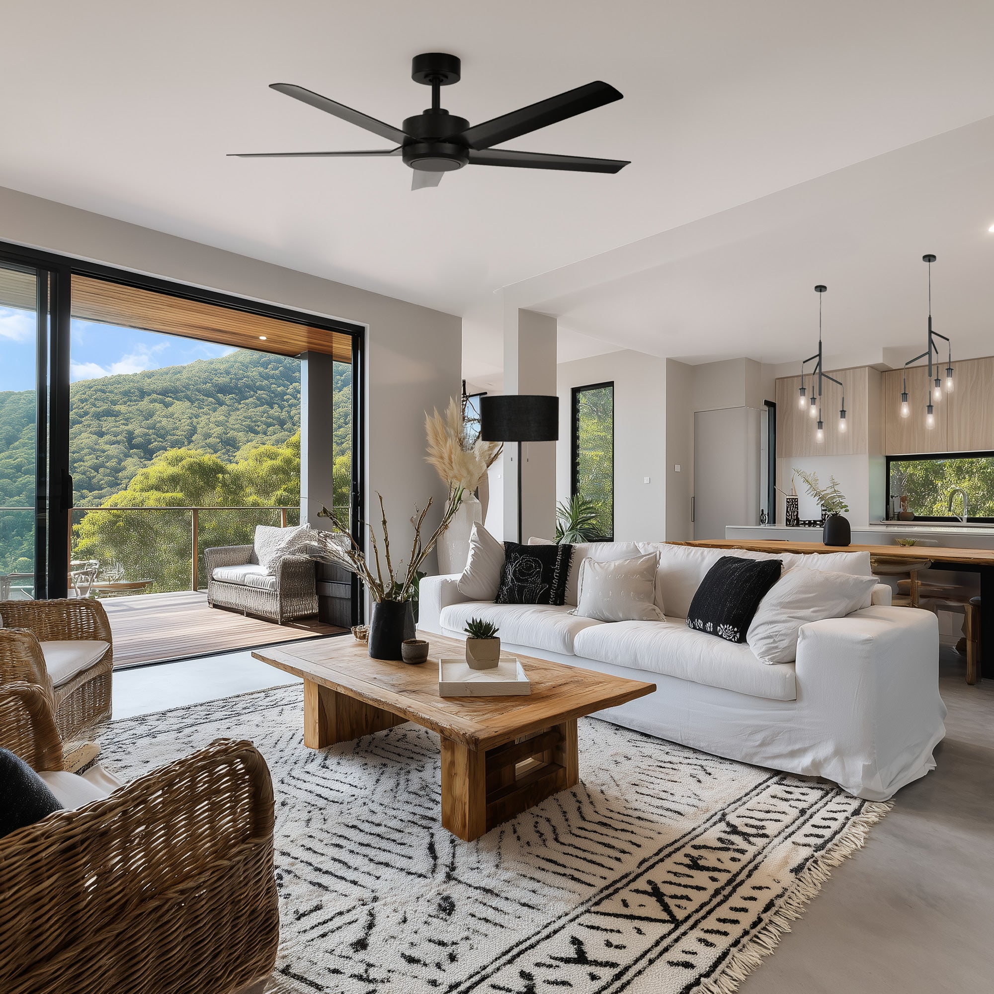 Raptor Black 40W DC Ceiling Fan with Remote Control