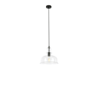 Black and Glass Pendant Light
