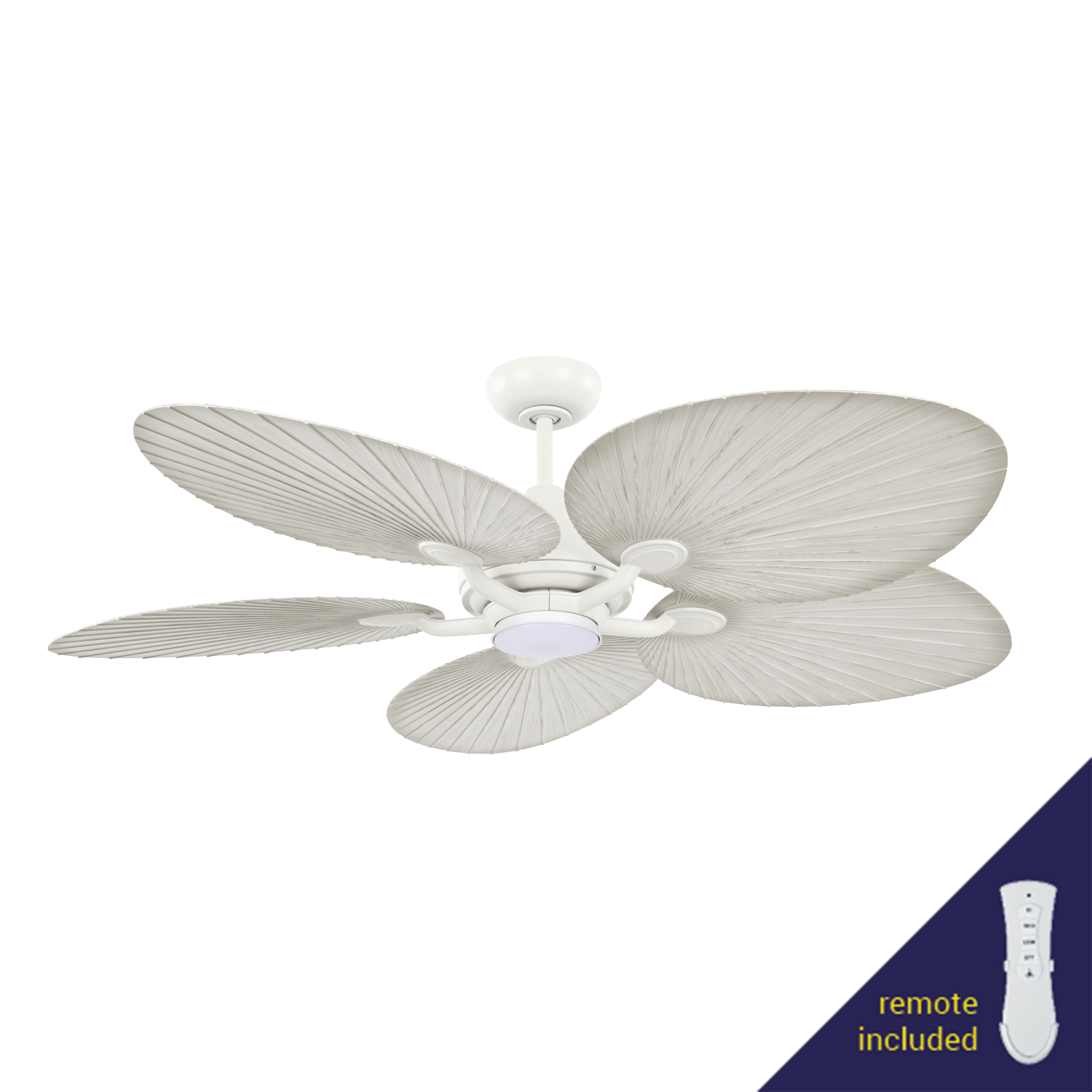 Alocasia white 80W AC ceiling fan with 5 white-wash leaf-shaped blades and CCT LED light