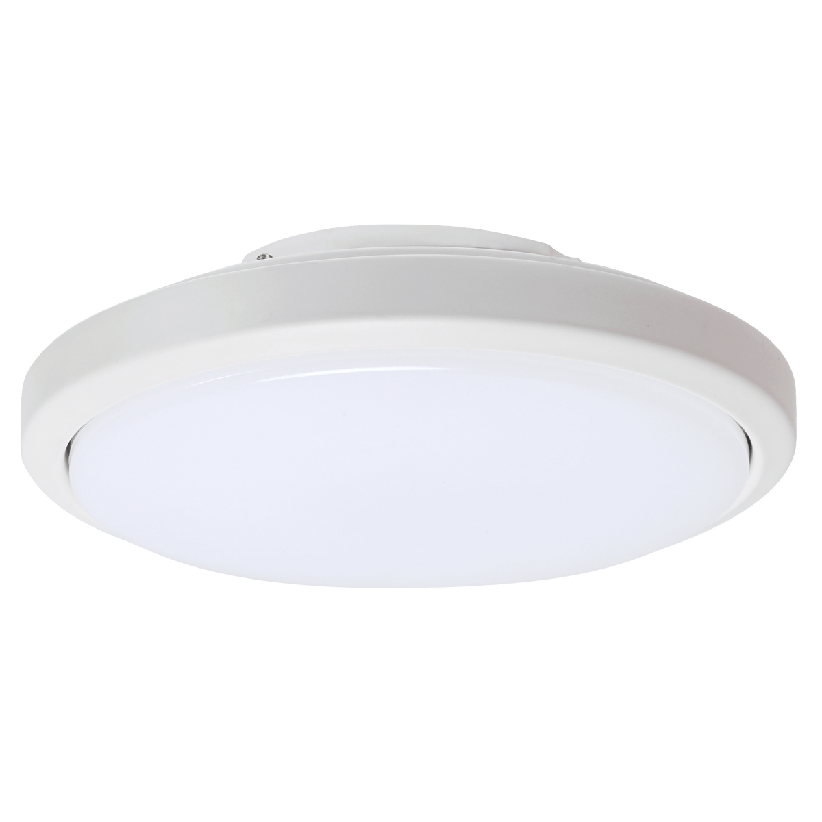 Francolin White Light Kit (Old Version) | SKU 1412 | Zebbies