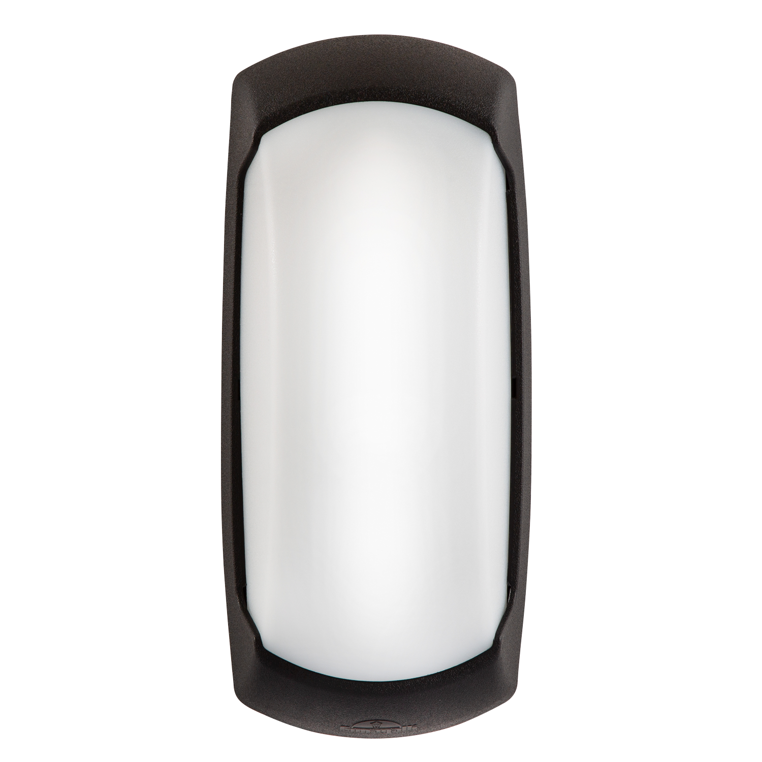 Black Outdoor Wall Light with Diffuser