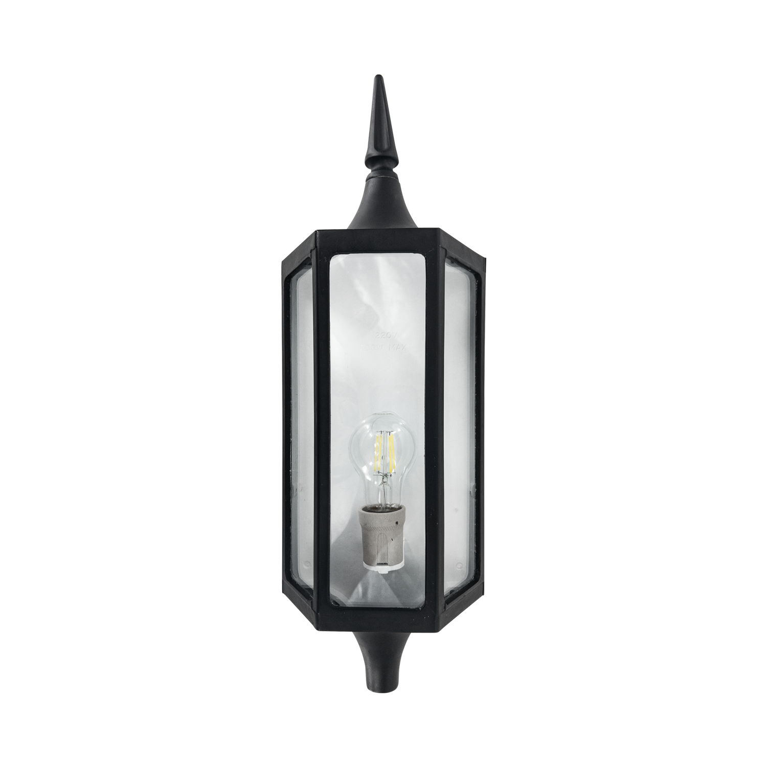 Thando Black Resin and Glass Outdoor Wall Light